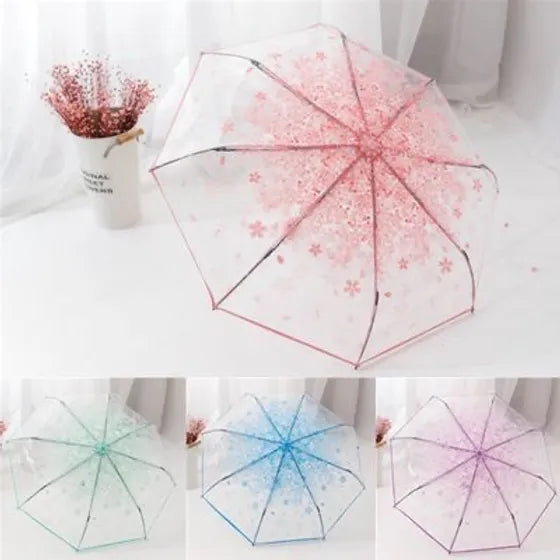 Sakura transparent foldable Umbrella