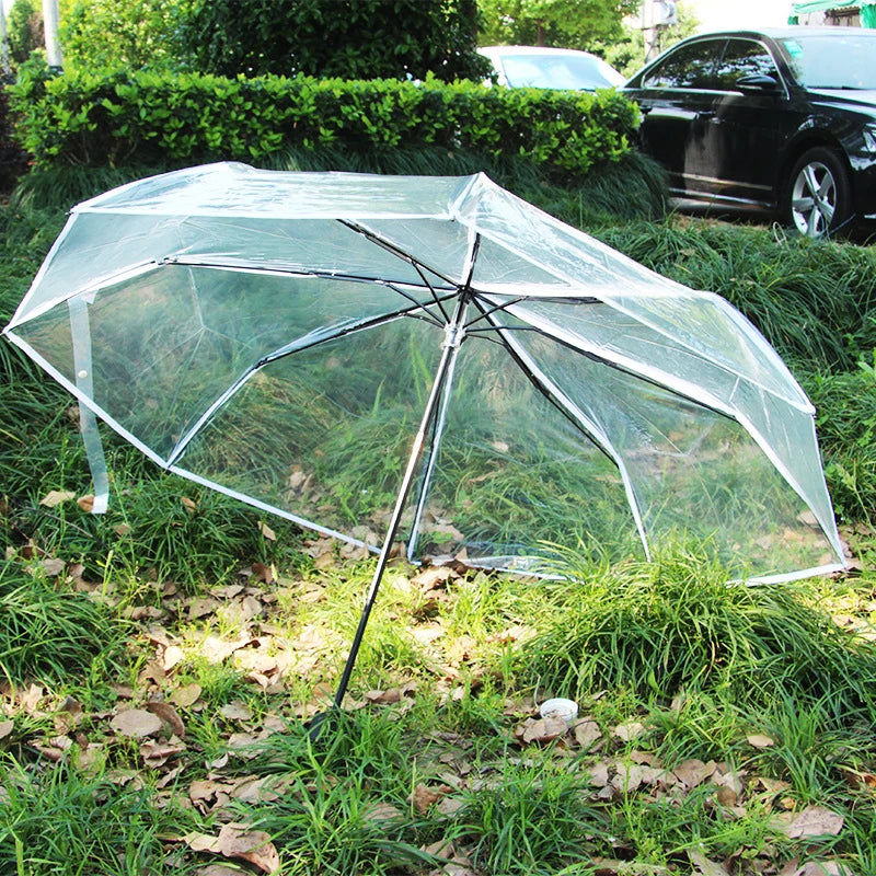 Aesthetic transparent foldable umbrella